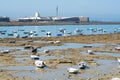 Low tide time on ocean coast of Cadiz, shallow water with fishing boats and seagulls, Andalusia, Spain Royalty Free Stock Photo