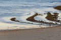Low tide - Torquay