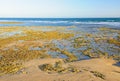 Low tide - Torquay