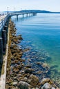 Pier Rocks Uncovered