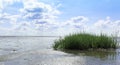 Low tide on the Wadden.