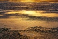 Wet sand ripples with tidal water in golden sunset light Royalty Free Stock Photo