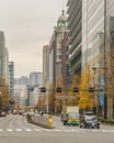 Low Traffic Highway, Chiyoda District, Tokyo, Japan