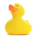 Isolated Yellow Rubber Duck