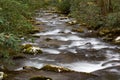 Low view down a rushing mountain stream in a fall landscape with moss covered rocks and rhododendron, Great Smoky Mountains