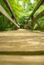 A Low View of a Hiker Footbridge along the Appalachian Trail Royalty Free Stock Photo