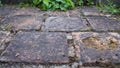 Low view of a old garden path Royalty Free Stock Photo