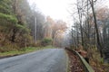 Low view of rural road and wood guardrails through a mountain wilderness in the fall