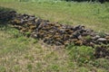 Low wall made of unmortared field stones with moss growing on them