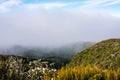 Low white clouds hovering over bush covered mountain ridge Royalty Free Stock Photo