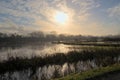Low winter sun over a flooded meadow with reed and bare trees  in the Flemish countryside Royalty Free Stock Photo