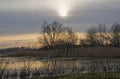 low winter sun over a marsh landscape in the flemish countryside Royalty Free Stock Photo