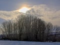 Winter sunset over snow covered fields with trees in the Flemish countryside Royalty Free Stock Photo