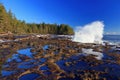 Dramatic Crashing Wave and Still Tidal Pools at Botanical Beach, Juan de Fuca Provincial Park, BC, Canada Royalty Free Stock Photo