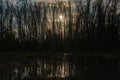 low winter sun and tree silhouettes reflecting in the water of a flooded forest Royalty Free Stock Photo