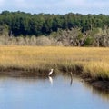 Lowcountry tides