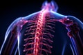 Lower back pain concept Human skeleton anatomy with red holographic spine