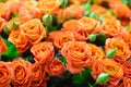 Beautiful bouquet of orange flowers roses Royalty Free Stock Photo