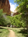 Lower Calf Creek Falls Royalty Free Stock Photo