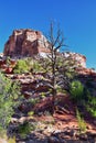 Lower Calf Creek Falls views from the hiking trail Grand Staircase-Escalante National Monument between Boulder and Escalante off H Royalty Free Stock Photo