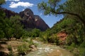 Lower Emerald Pool Trail B Royalty Free Stock Photo