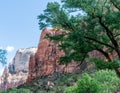 The Lower Emerald Pool Trail in Zion National Park Royalty Free Stock Photo