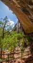 The Lower Emerald Pool Trail in Zion National Park Royalty Free Stock Photo