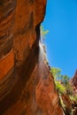 Lower Emerald Pools in summer, Zion Canyon National Park, Utah, USA Royalty Free Stock Photo