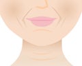 The lower face wrinkled skin of mature woman vector illustration.