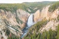 Lower Falls in Grand Canyon in Yellowstone Royalty Free Stock Photo