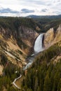 Lower Falls of the Grand Canyon of Yellowstone National Park. Royalty Free Stock Photo