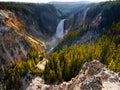 Lower Falls, Grand Canyon, Yellowstone National Park Royalty Free Stock Photo