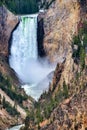 Lower Falls of Yellowstone Grand Canyon, Wyoming