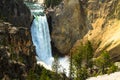 Lower Falls of Yellowstone River Royalty Free Stock Photo