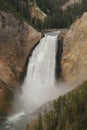 Lower Falls Yellowstone River Royalty Free Stock Photo