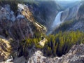 Yellowstone Lower Falls Waterfall Canyon Royalty Free Stock Photo