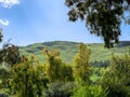 Lower Galilee panorama at spring time Royalty Free Stock Photo