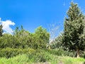 Lower Galilee panorama at spring time Royalty Free Stock Photo