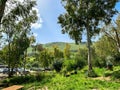Lower Galilee panorama at spring time Royalty Free Stock Photo