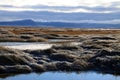 Lower Klamath National Wildlife Refuge Royalty Free Stock Photo