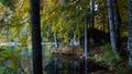 Lower lake of Laghi di Fusine in Autumn colours in Italy