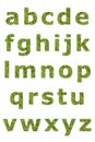 Lower letter of green lichen