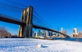 Lower Manhattan Downtown skyline panorama from Brooklyn Bridge Park riverbank, New York City, USA Royalty Free Stock Photo