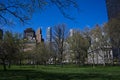 Lower Manhattan park in springtime