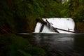Lower north falls in silver falls state park in Oregon during early spring Royalty Free Stock Photo