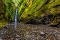 Lower Oneonta falls in Columbia River Gorge, Oregon Royalty Free Stock Photo