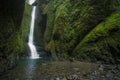 Lower Oneonta Falls waterfall located in Western Gorge, Oregon. Royalty Free Stock Photo