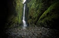 Lower Oneonta Falls waterfall located in Western Gorge, Oregon. Royalty Free Stock Photo