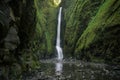 Lower Oneonta Falls waterfall located in Western Gorge, Oregon. Royalty Free Stock Photo