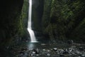 Lower Oneonta Falls waterfall located in Western Gorge, Oregon. Royalty Free Stock Photo